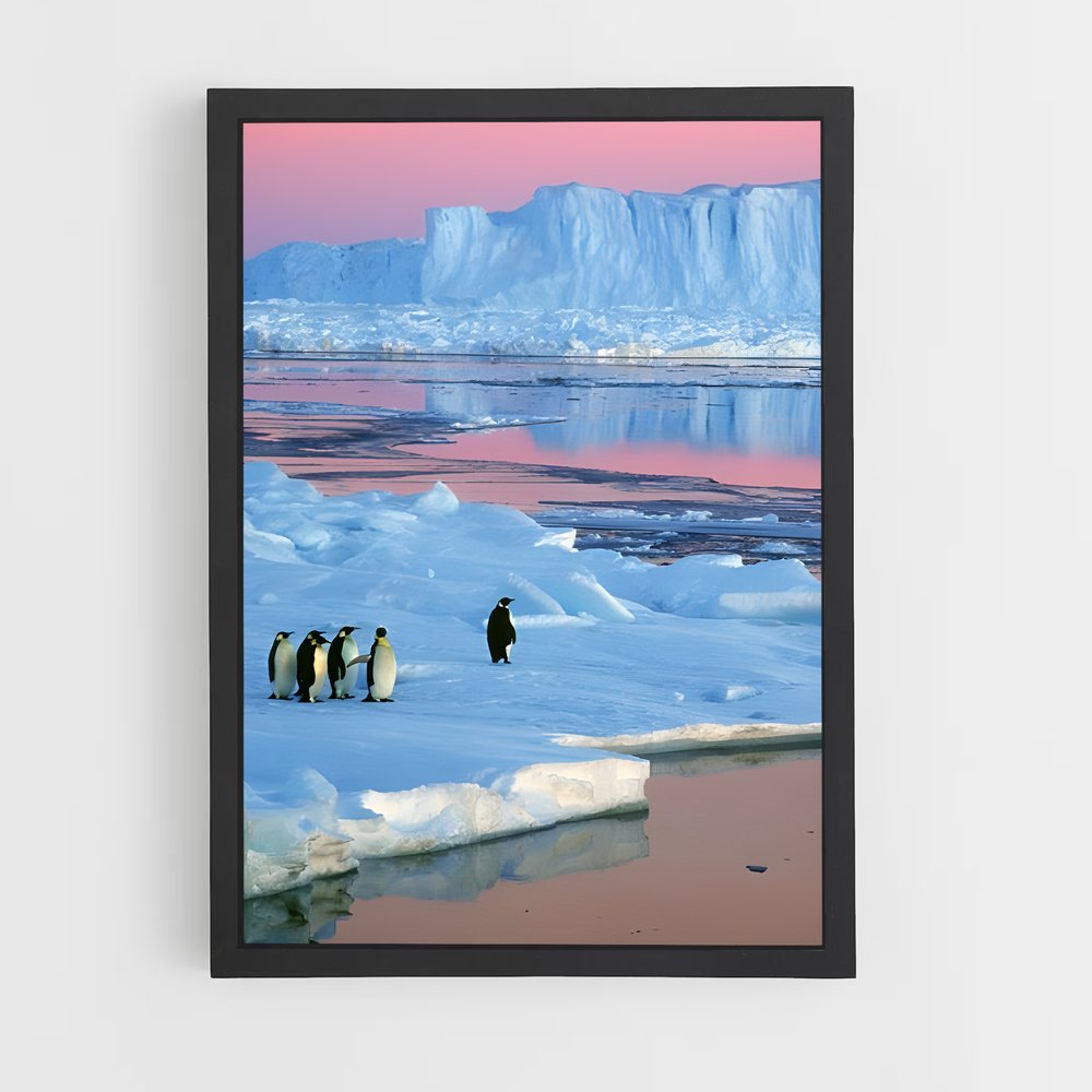 ap-antarctica-3 cadre Noir