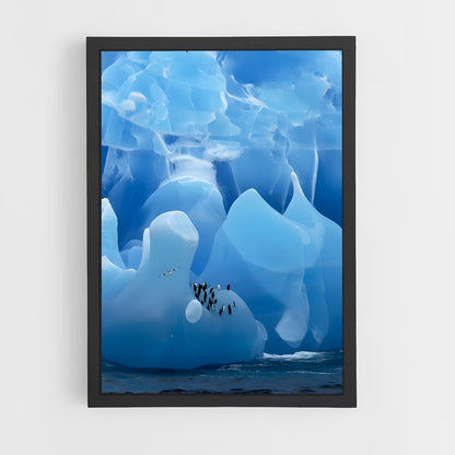 ap-antarctica-5 cadre Noir