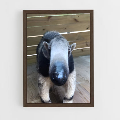 ap-anteater-1 cadre Bois foncé