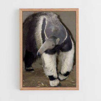 ap-anteater-7 cadre Bois clair