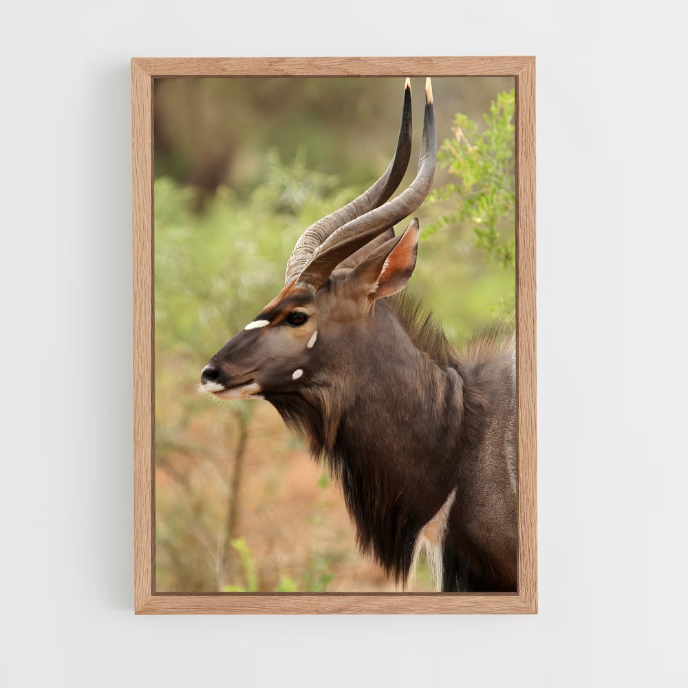 ap-antelope-10 cadre Bois clair
