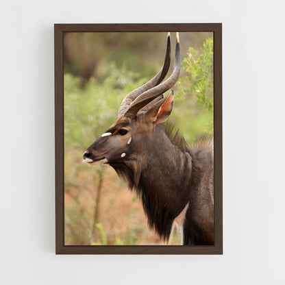 ap-antelope-10 cadre Bois foncé