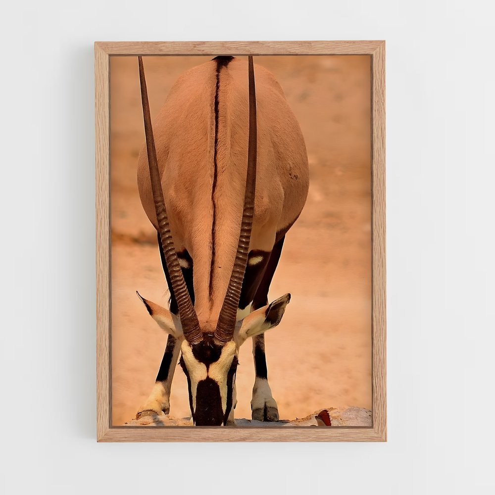 ap-antelope-11 cadre Bois clair