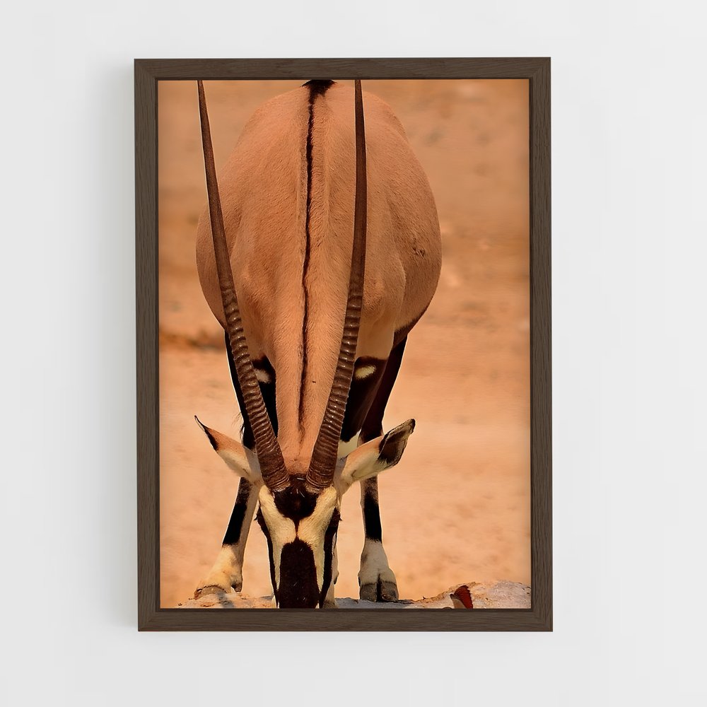 ap-antelope-11 cadre Bois foncé