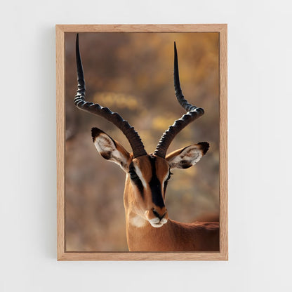ap-antelope-2 cadre Bois clair