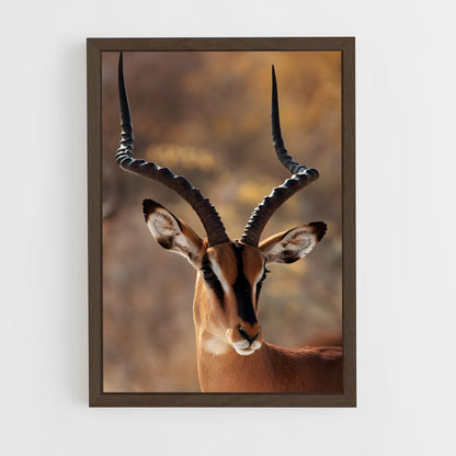 ap-antelope-2 cadre Bois foncé