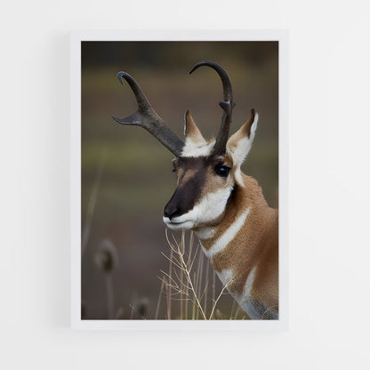 ap-antelope-3 cadre Blanc