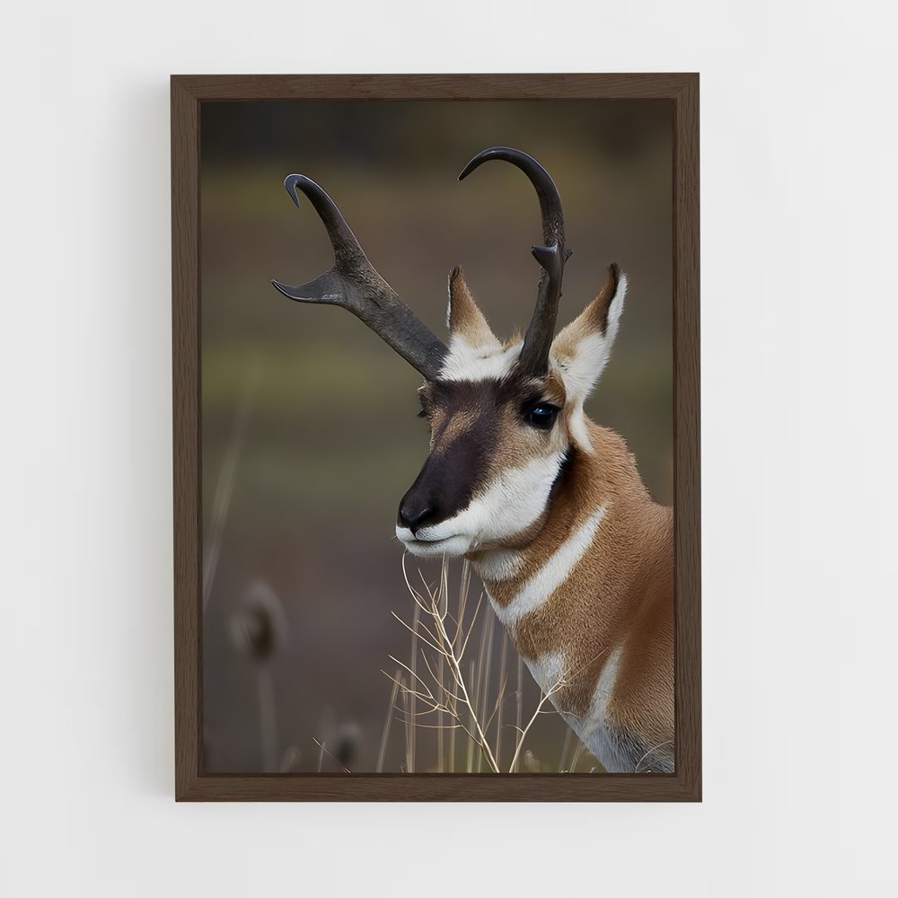 ap-antelope-3 cadre Bois foncé