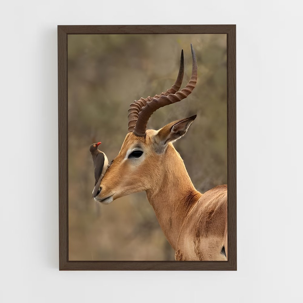 ap-antelope-4 cadre Bois foncé