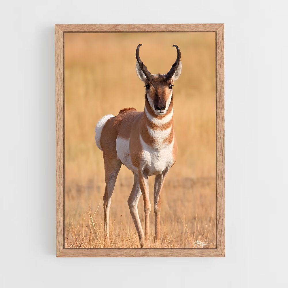 ap-antelope-5 cadre Bois clair