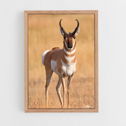 ap-antelope-5 cadre Bois clair