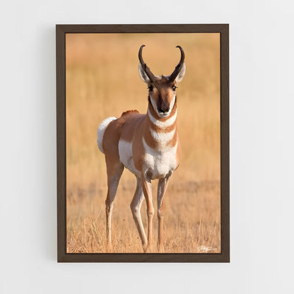 ap-antelope-5 cadre Bois foncé