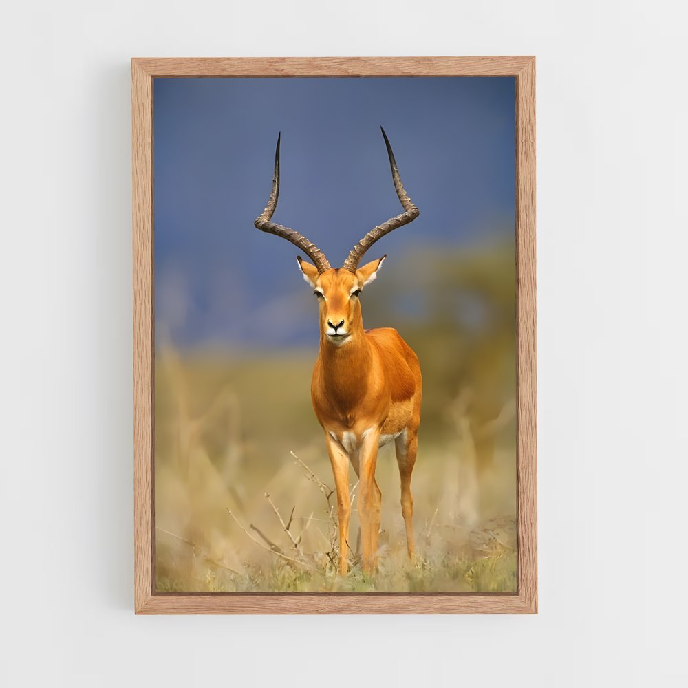 ap-antelope-6 cadre Bois clair