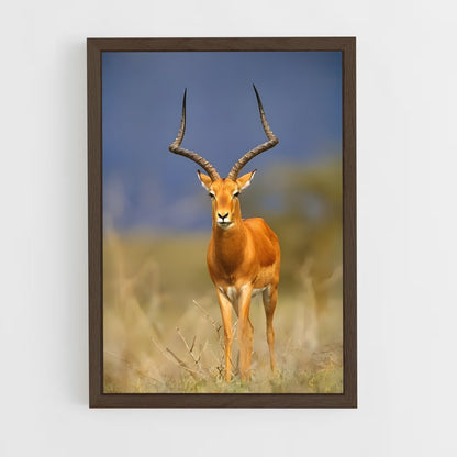 ap-antelope-6 cadre Bois foncé