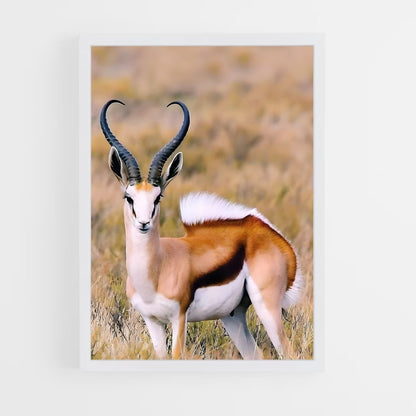 ap-antelope-7 cadre Blanc