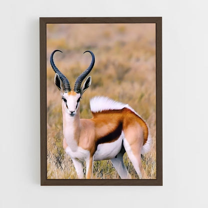 ap-antelope-7 cadre Bois foncé