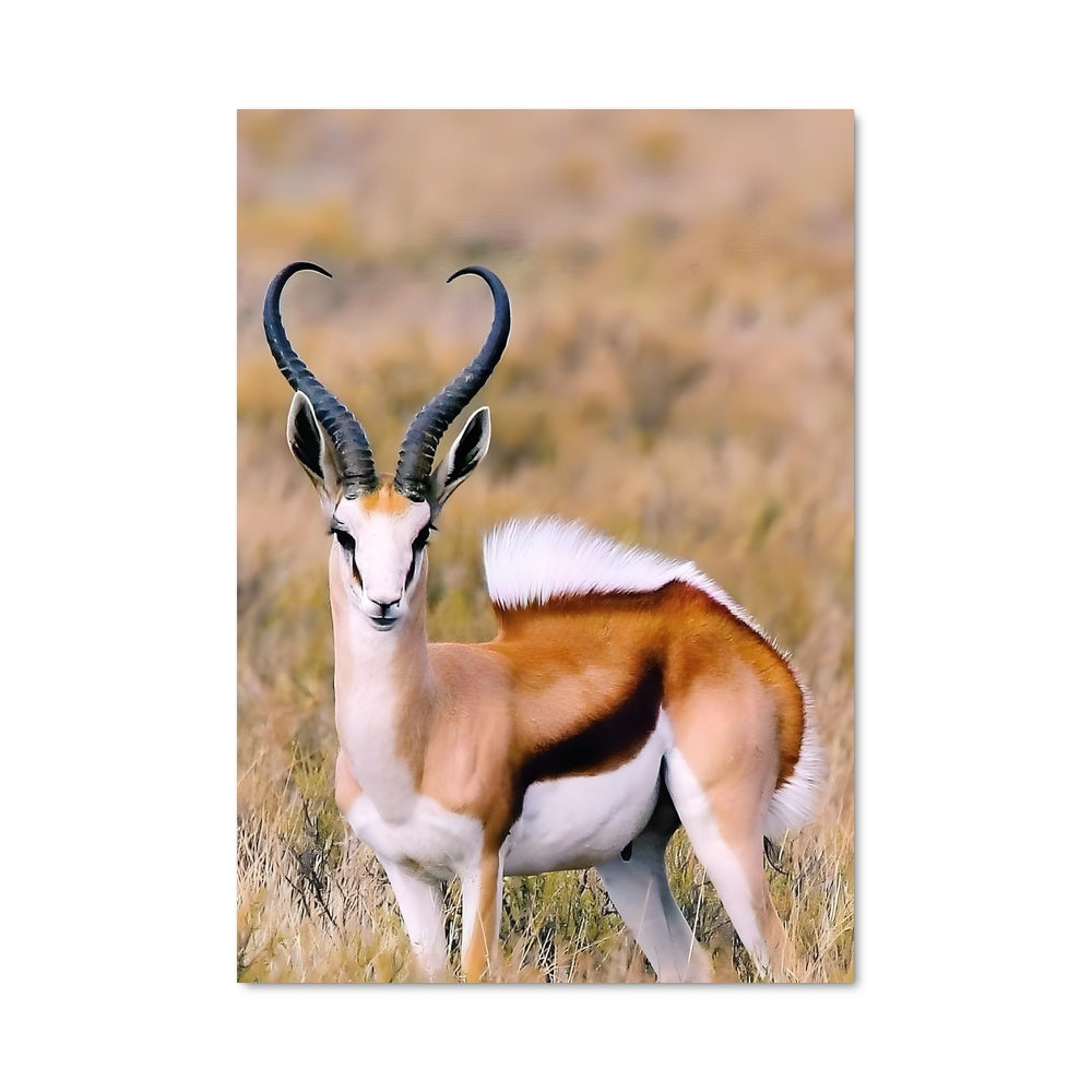 Poster Antelope Dance