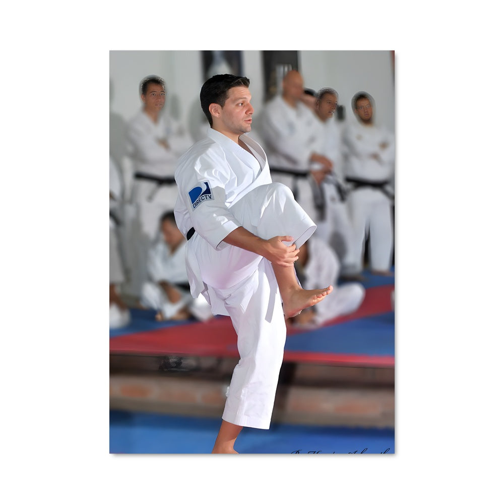 Poster Karate Masterclass