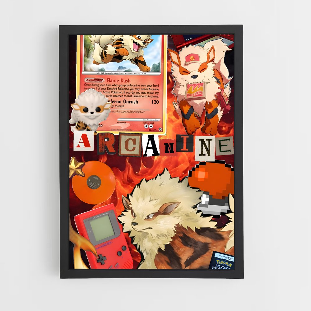 ap-arcanine-3 cadre Noir