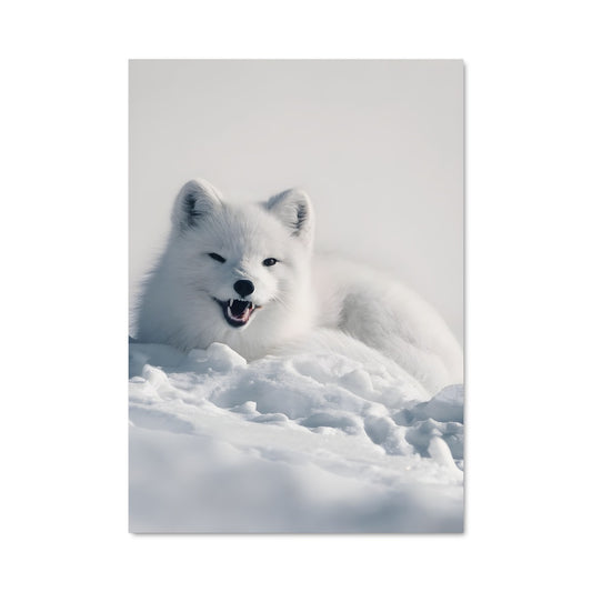 Poster Arctic fox 83067