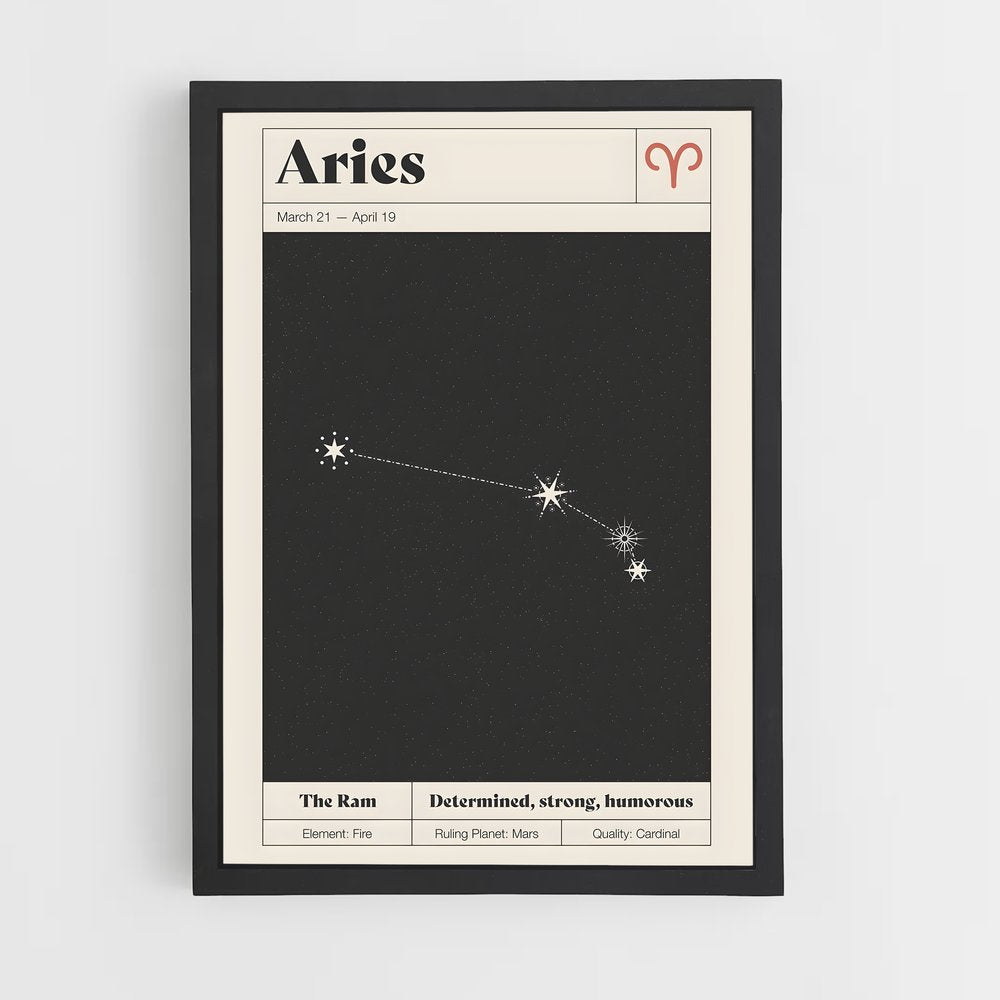 ap-aries-1 cadre Noir