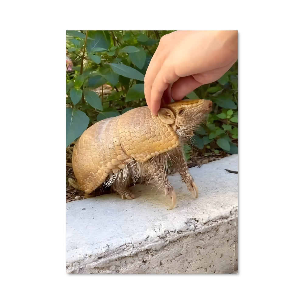 Poster Nourriture Amicale