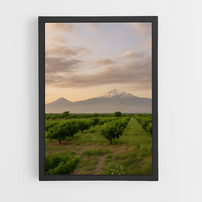 ap-armenia-6 cadre Noir