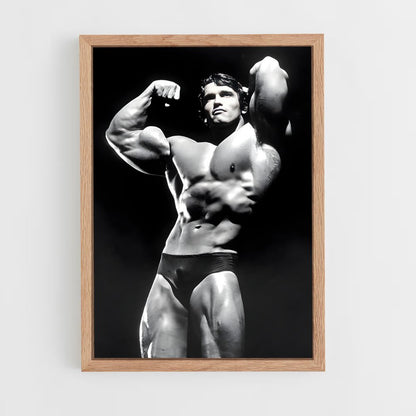 ap-arnold classic-2 cadre Bois clair
