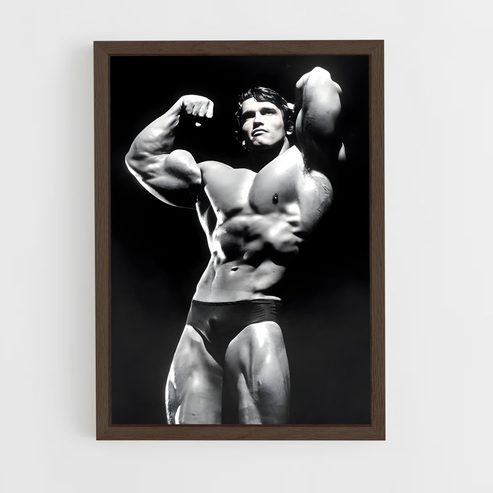 ap-arnold classic-2 cadre Bois foncé