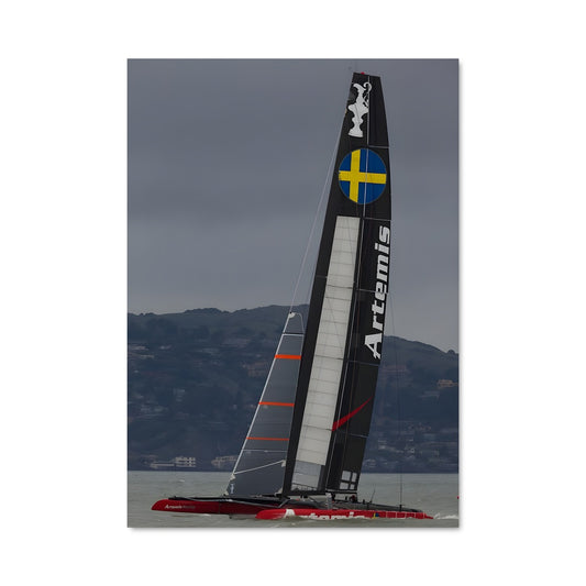 Poster L'Esprit des Vagues