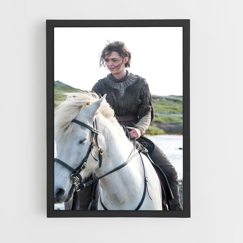 ap-arya stark-7 cadre Noir