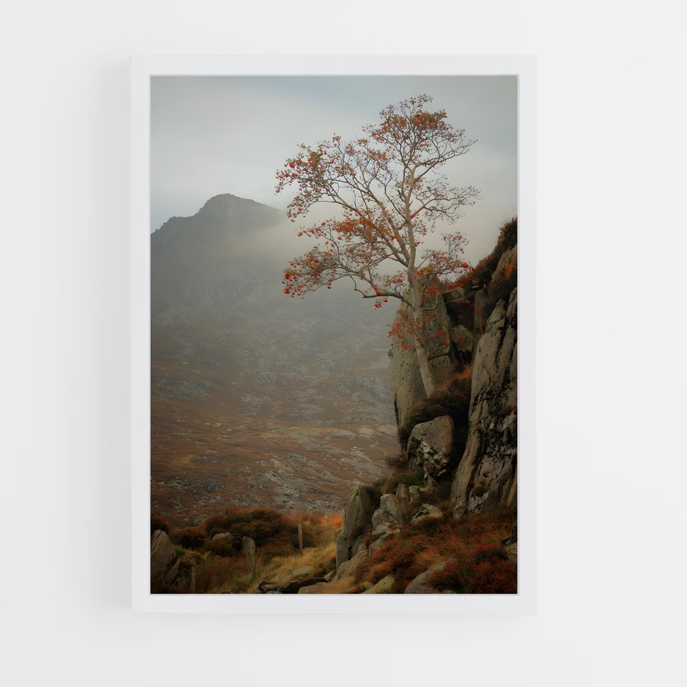 ap-ash-7 cadre Blanc