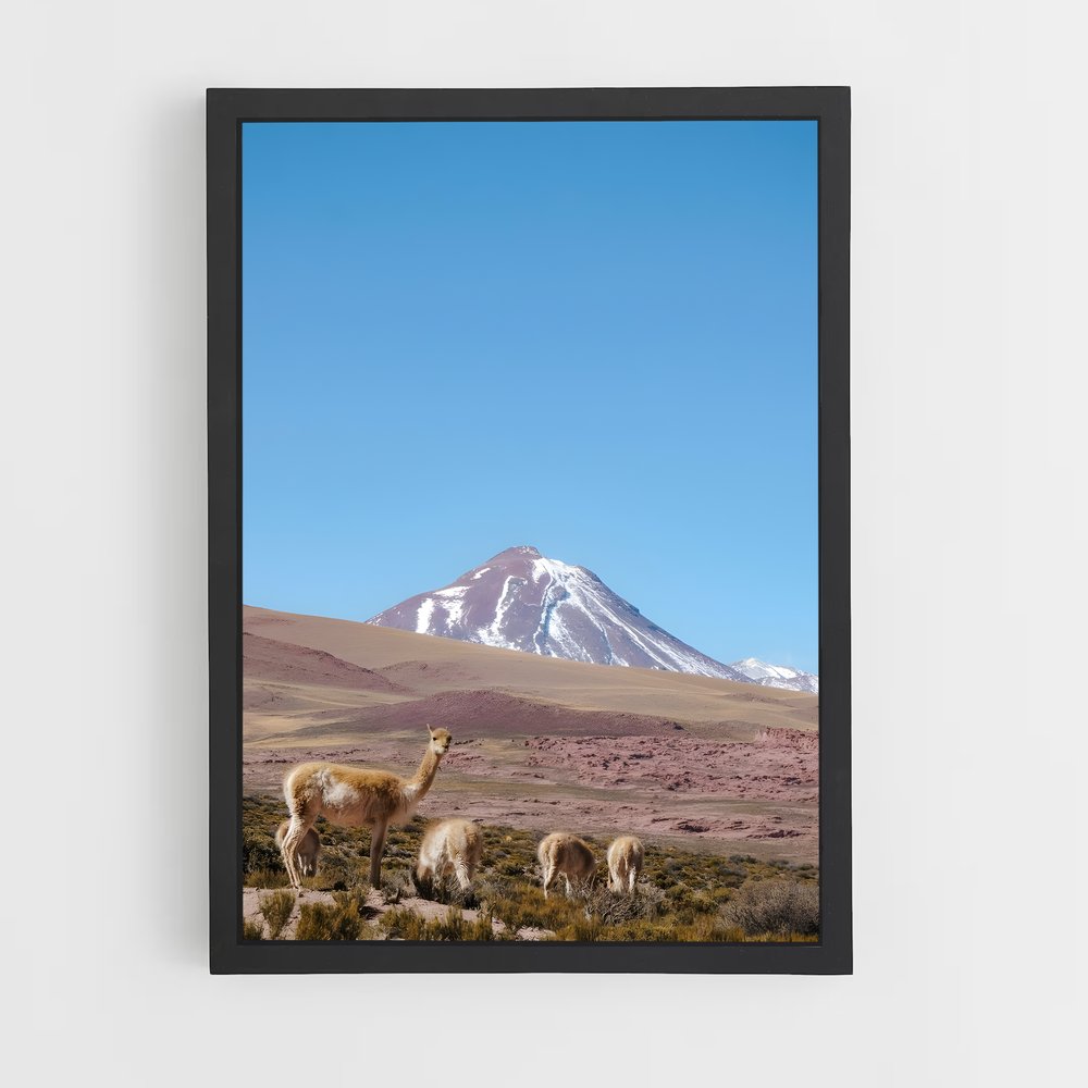 ap-atacama desert-2 cadre Noir