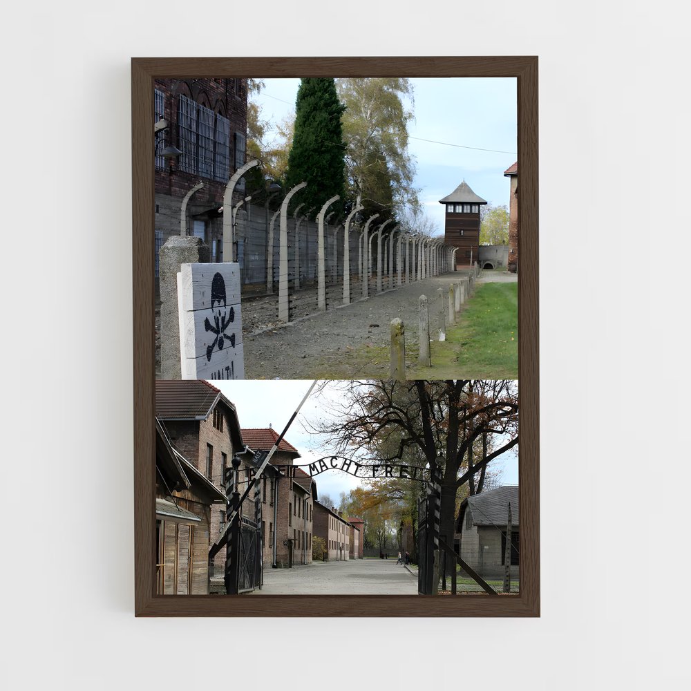 ap-auschwitz birkenau-1 cadre Bois foncé