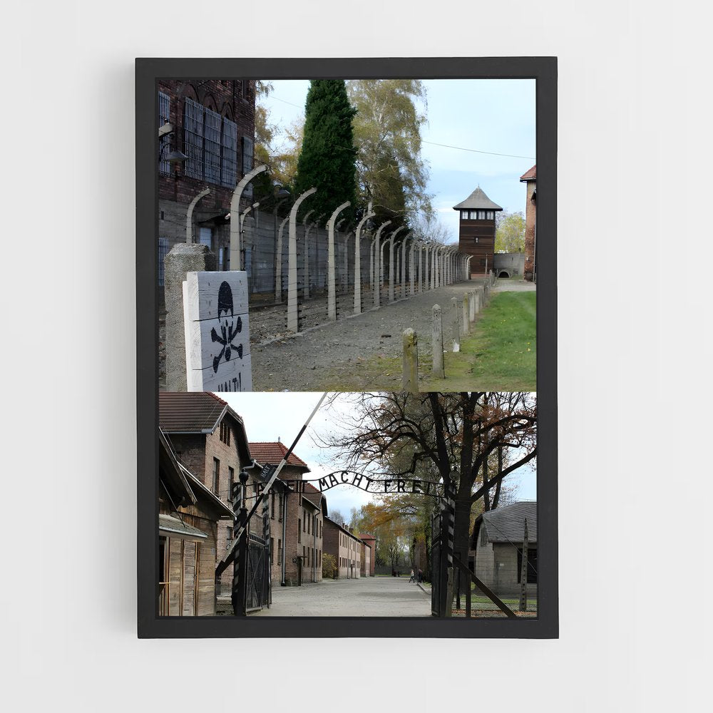 ap-auschwitz birkenau-1 cadre Noir