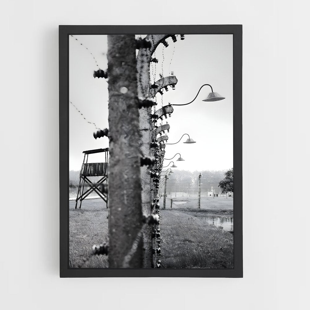 ap-auschwitz birkenau-2 cadre Noir