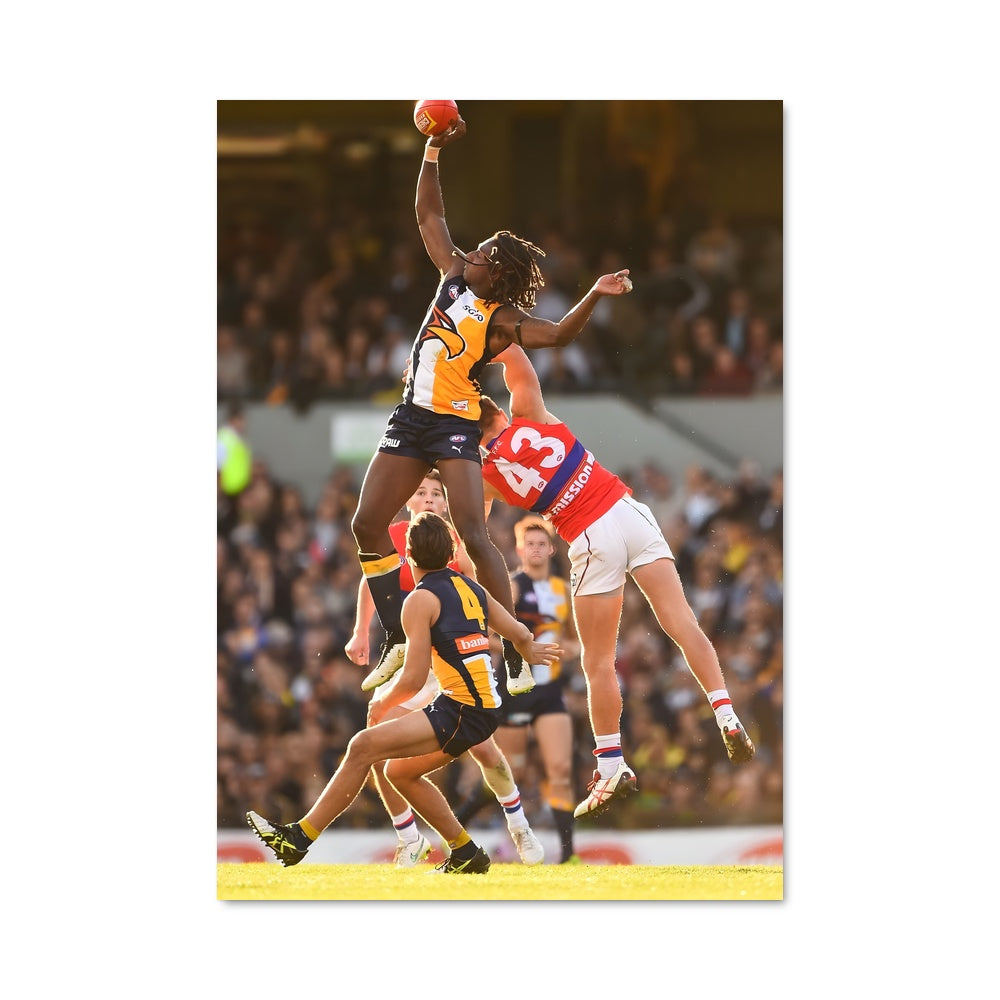 Poster L'Esprit de l'Australie