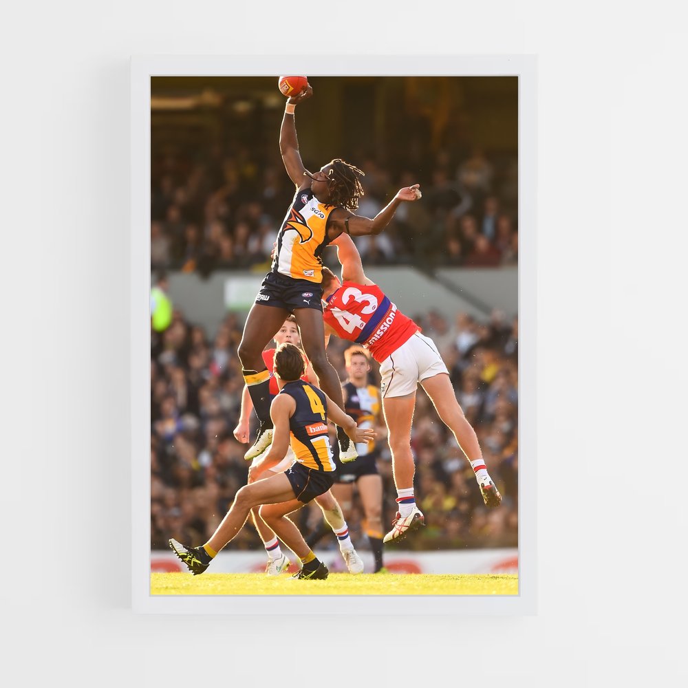 ap-australia national football team-6 cadre Blanc