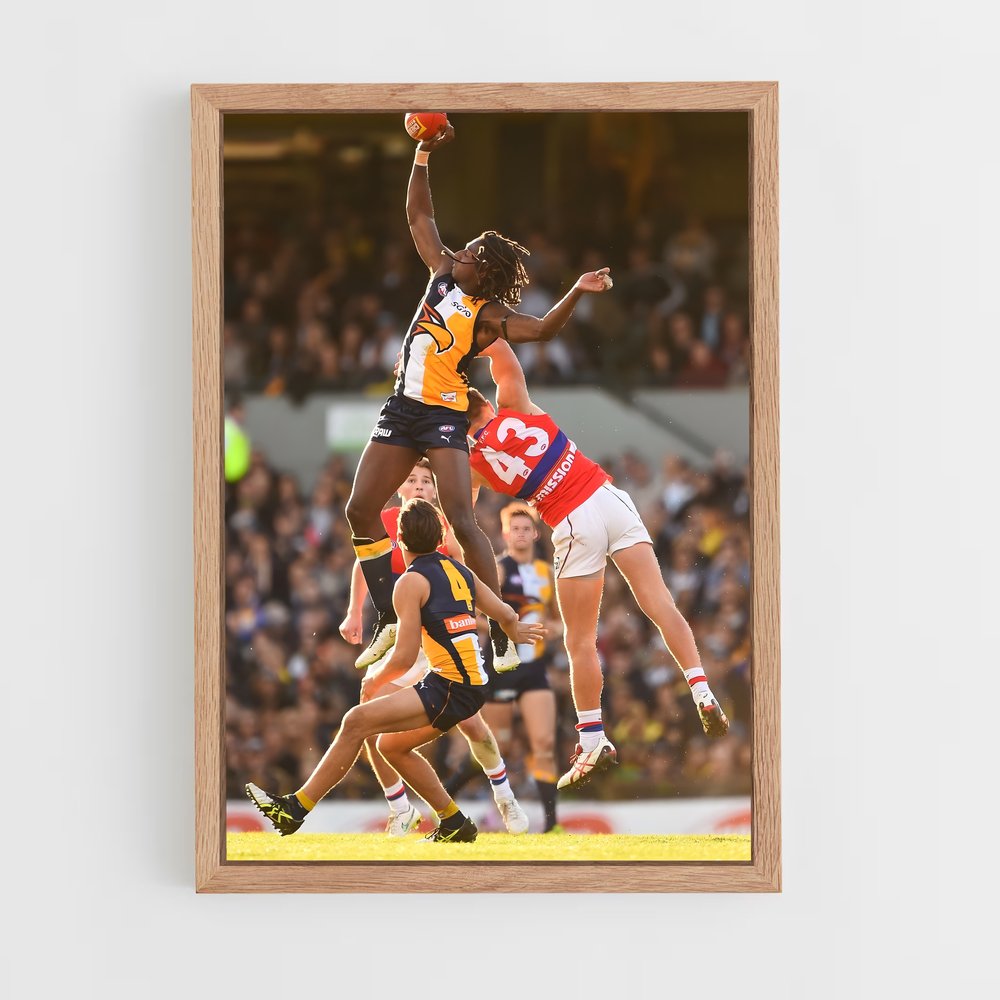 ap-australia national football team-6 cadre Bois clair