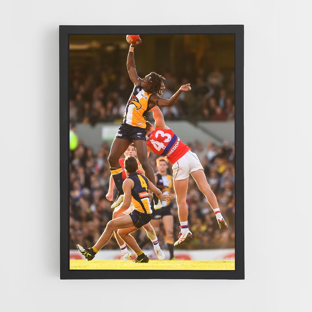 ap-australia national football team-6 cadre Noir