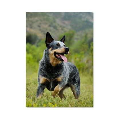 Poster Chien de Prairie