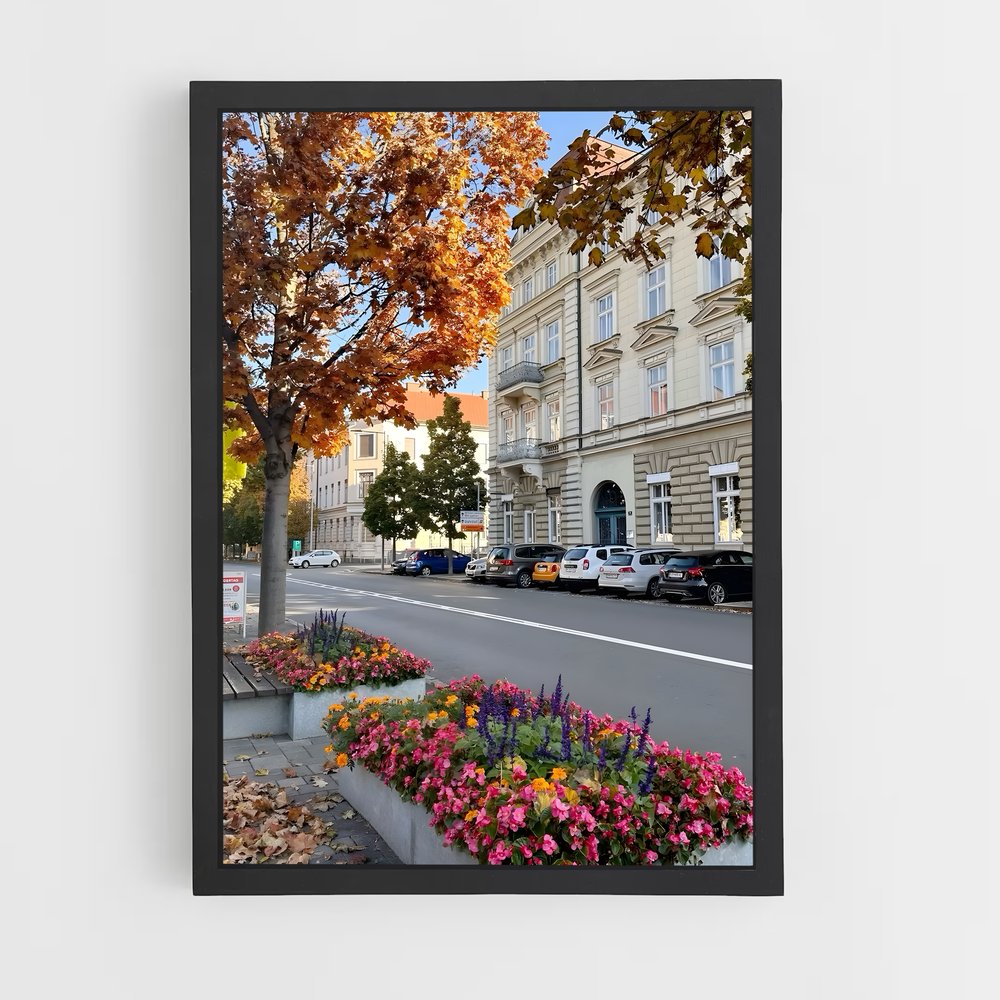 ap-austria-5 cadre Noir