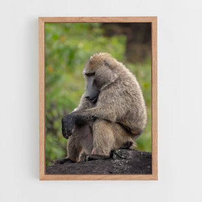 ap-baboon-1 cadre Bois clair