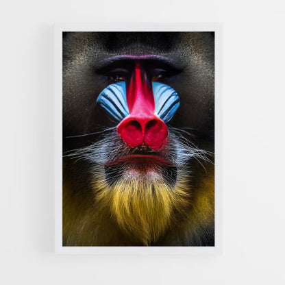 ap-baboon-4 cadre Blanc