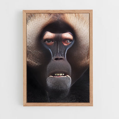 ap-baboon-5 cadre Bois clair