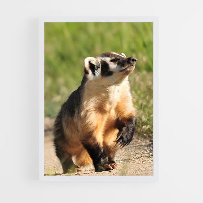 ap-badger-2 cadre Blanc