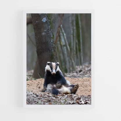 ap-badger-3 cadre Blanc