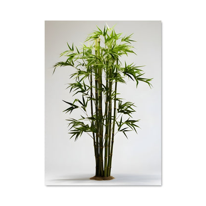 Poster Bamboo 96313