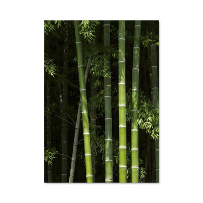 Poster Bamboo 96290