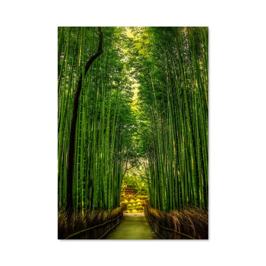 Poster Bamboo forest 94937